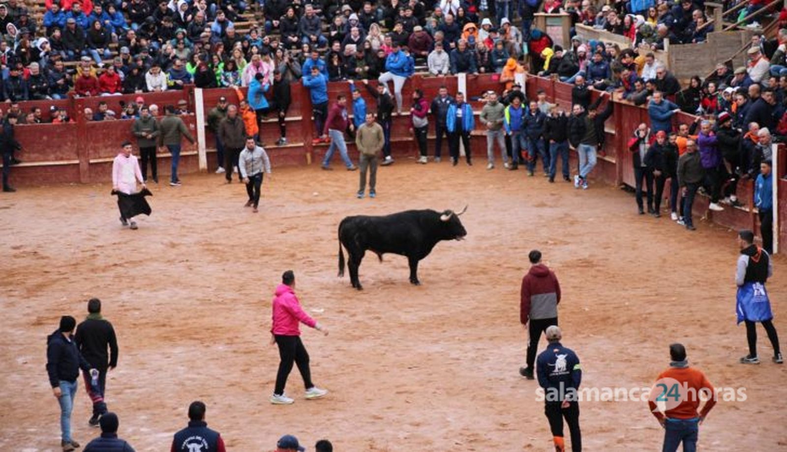 Toro del aguardiente en Ciudad Rodrigo. Carnaval 24 (19) Toro del aguardiente en Ciudad Rodrigo. Carnaval 24 (19)