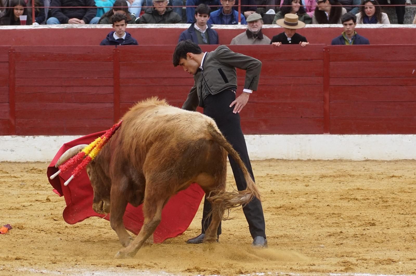 Festival taurino en Villoria