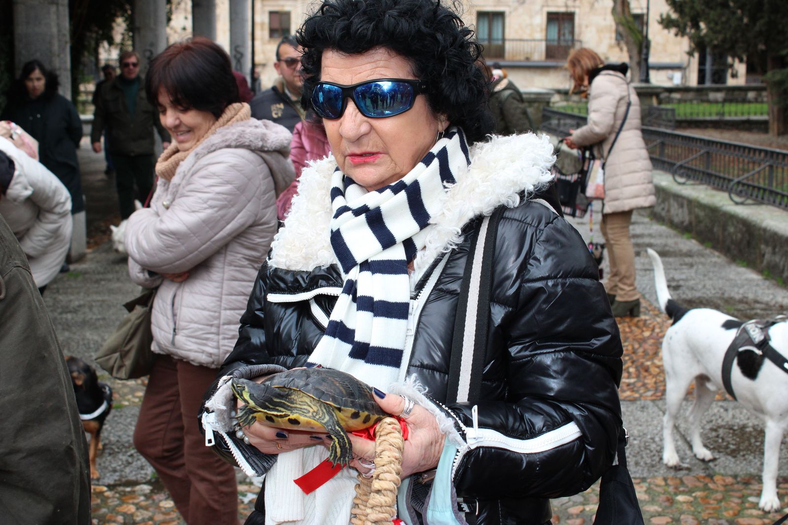 san-anton-bendicion-de-animales-2024-foto-s24h-24