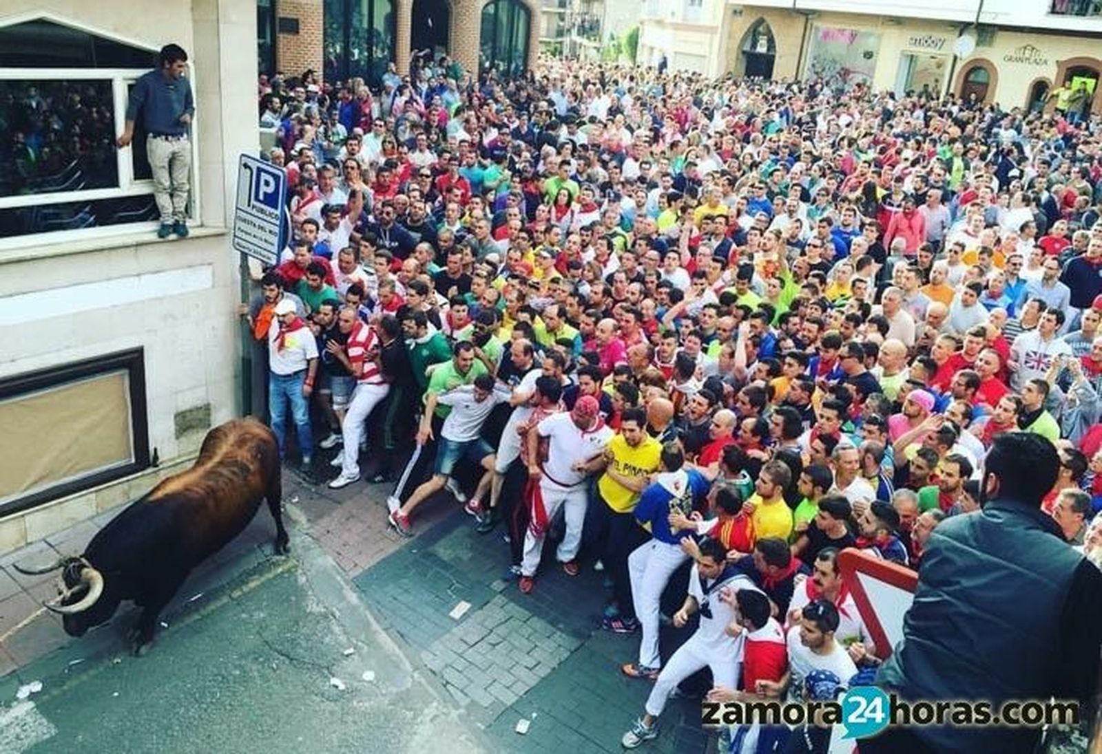 Imagen del Toro Enmaromado