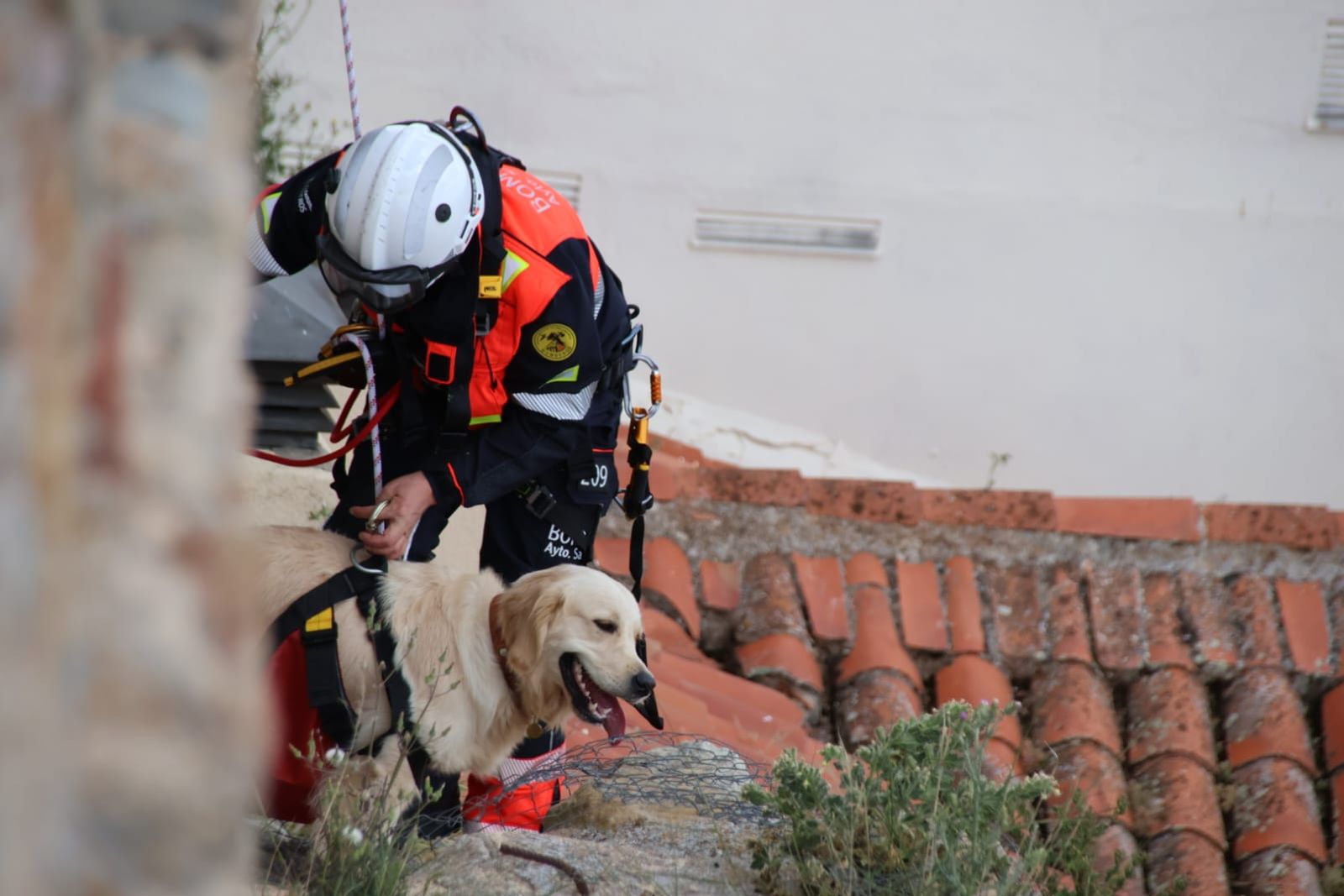 los-bomberos-rescatan-a-un-perro-en-el-jardin-botanico-de-salamanca-fotos-andrea-m-10