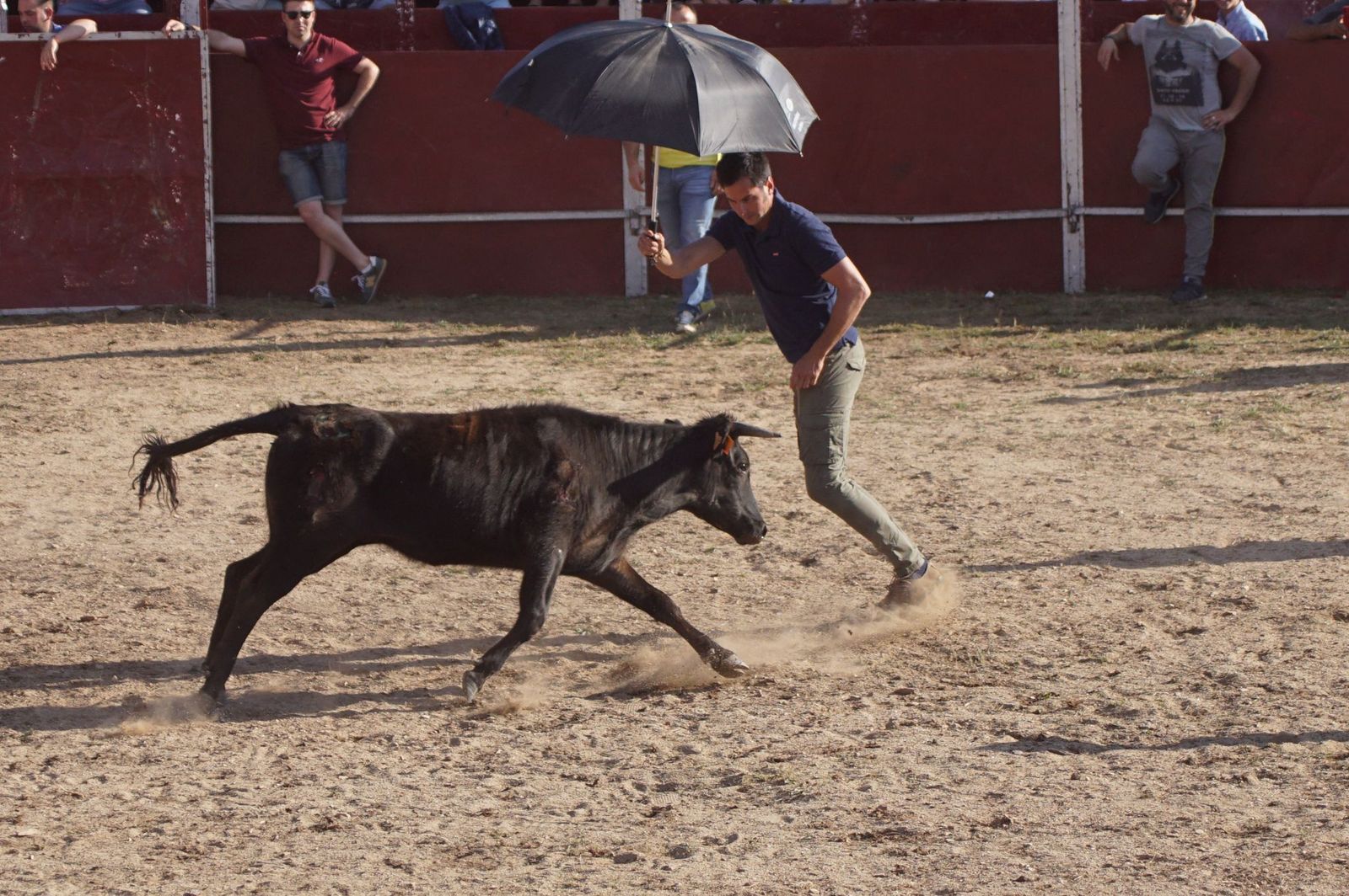 capea-fiestas-de-carrascal-de-barregas-21