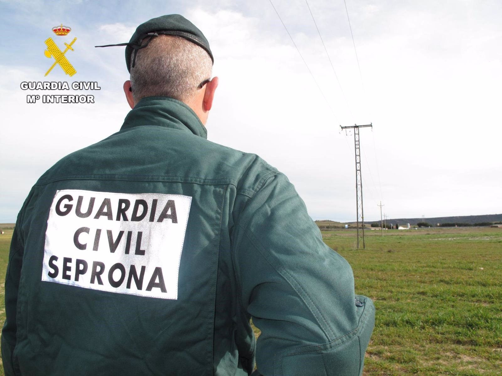 Agente de Guardia Civil. Foto de archivo. EP
