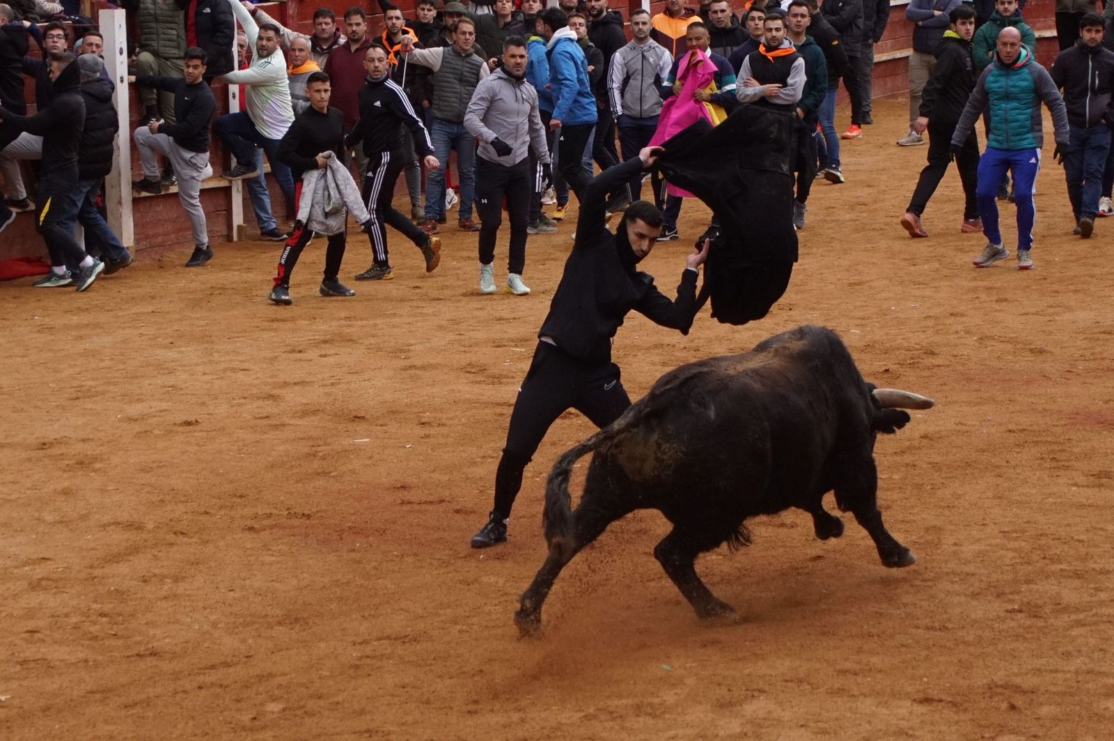 Destacados saltos, quiebros y toreo de capa en la capea del Lunes de Carnaval en Ciudad Rodrigo