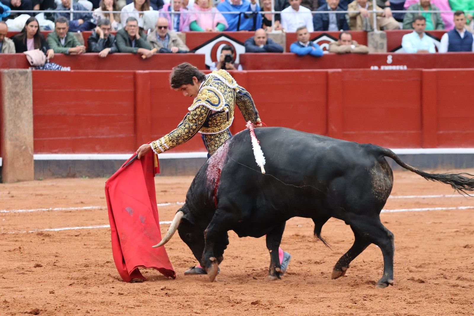 20230916182259-img-5520