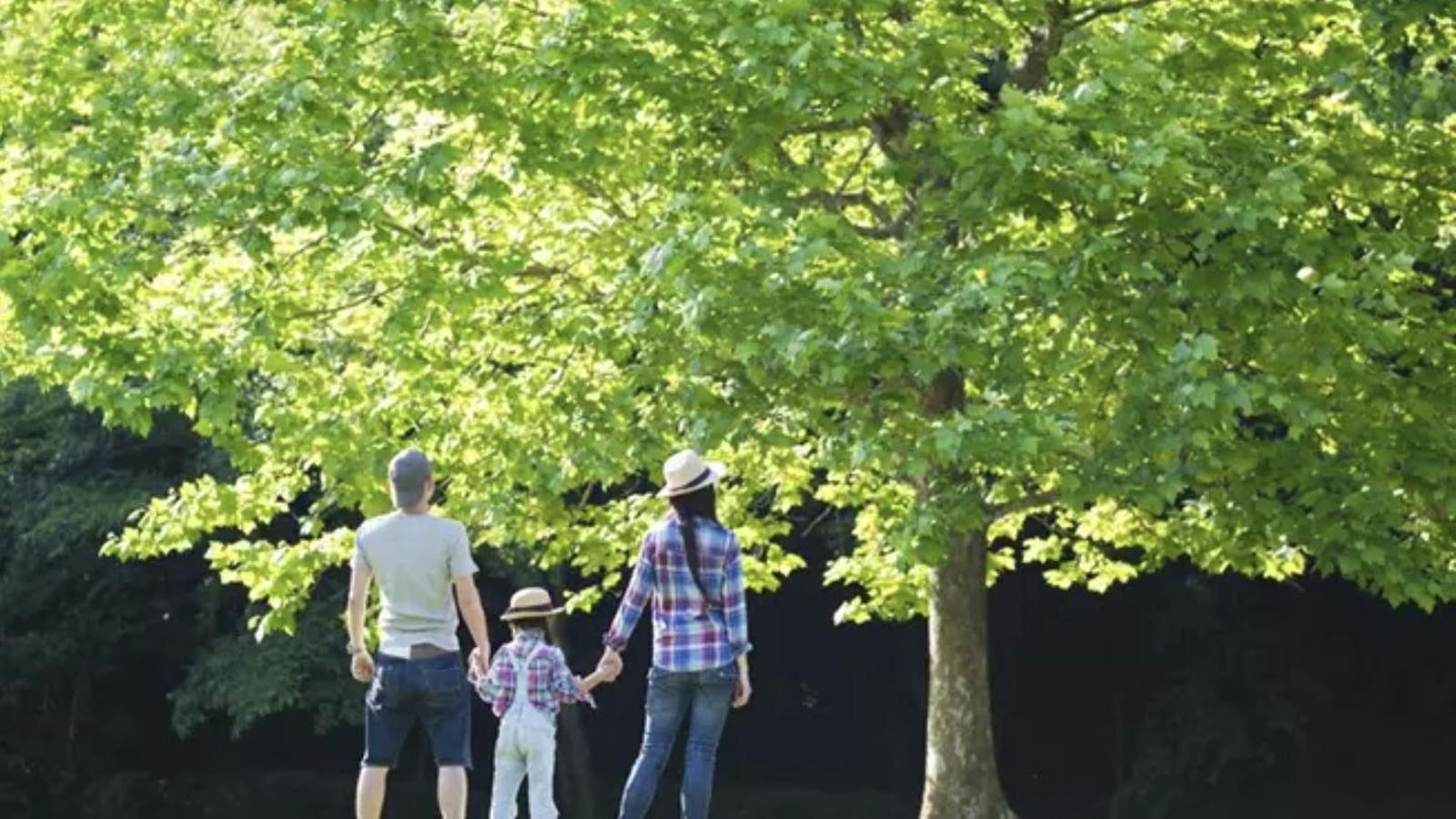 Archivo - Familia disfrutando de la naturaleza. - HAKASE_/ISTOCK