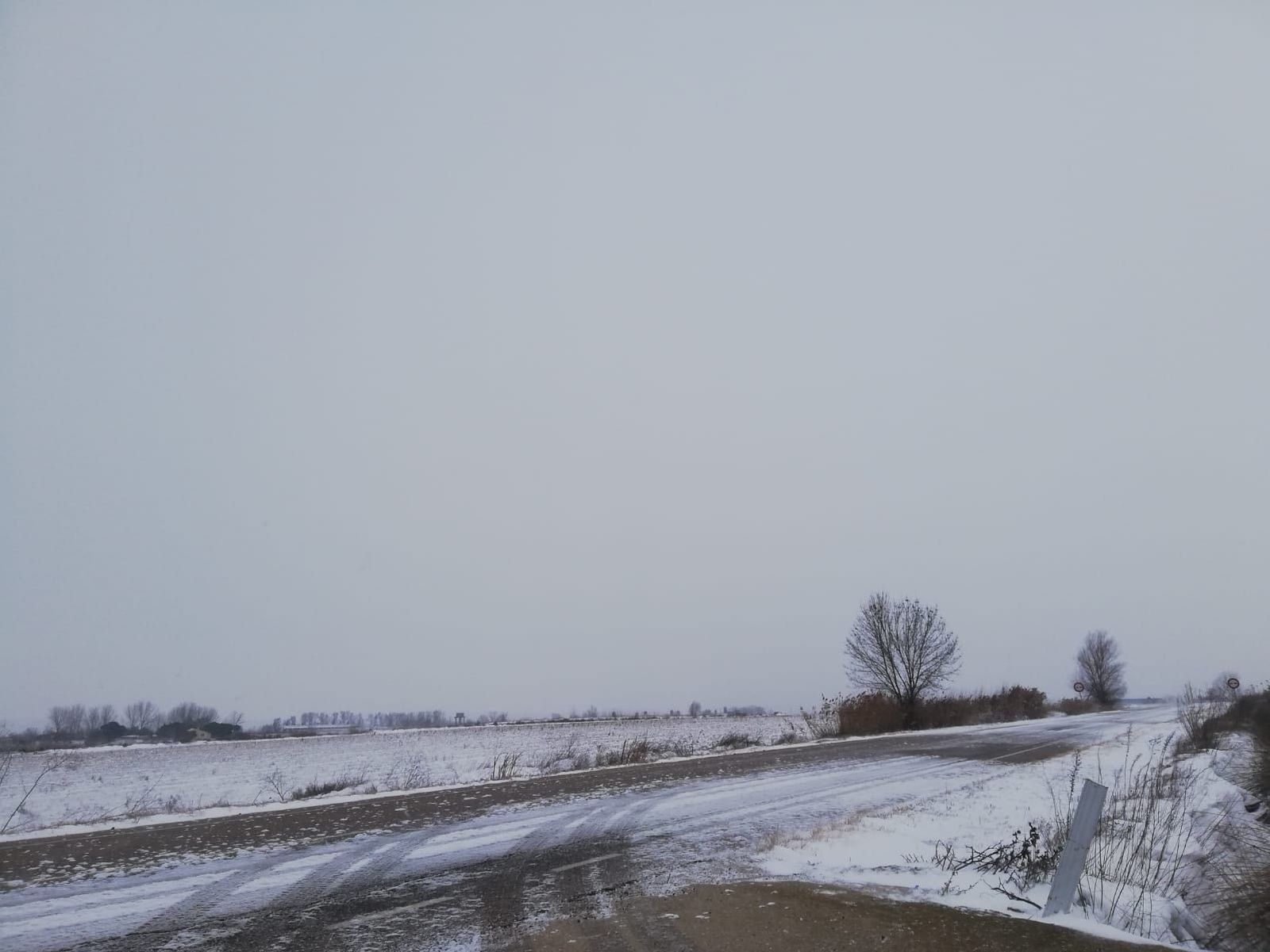 137594518 4028545810523745 1576163146429302692 o