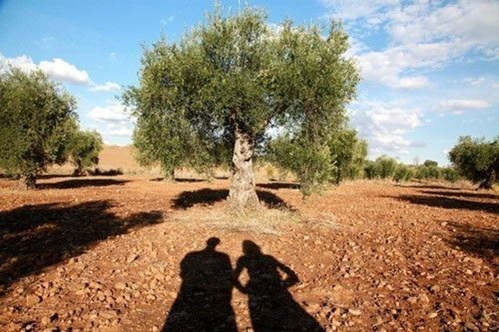 'Tour informativo' de COAG sobre la aplicación de la titularidad compartida en las explotaciones agrarias