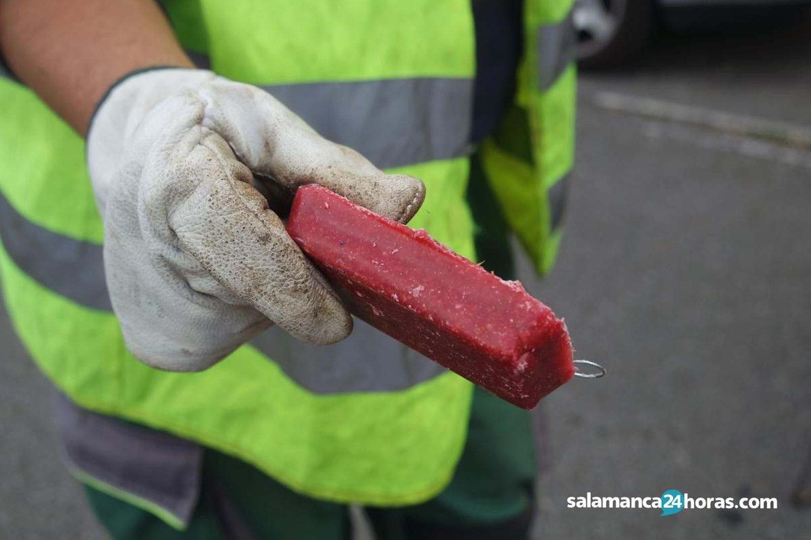 Control de plagas (12) 1200x800