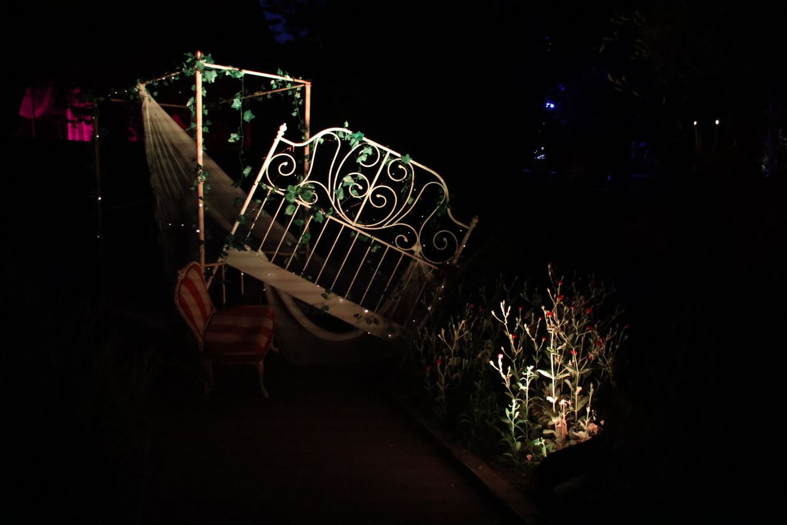 20240613214121-img-7553