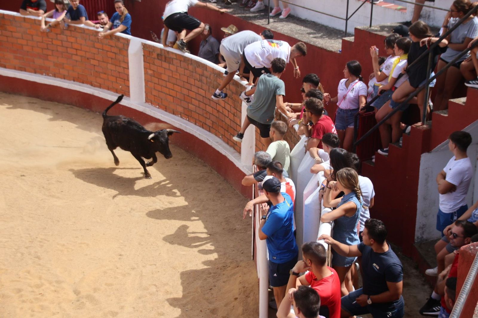 20230809120036-img-9611