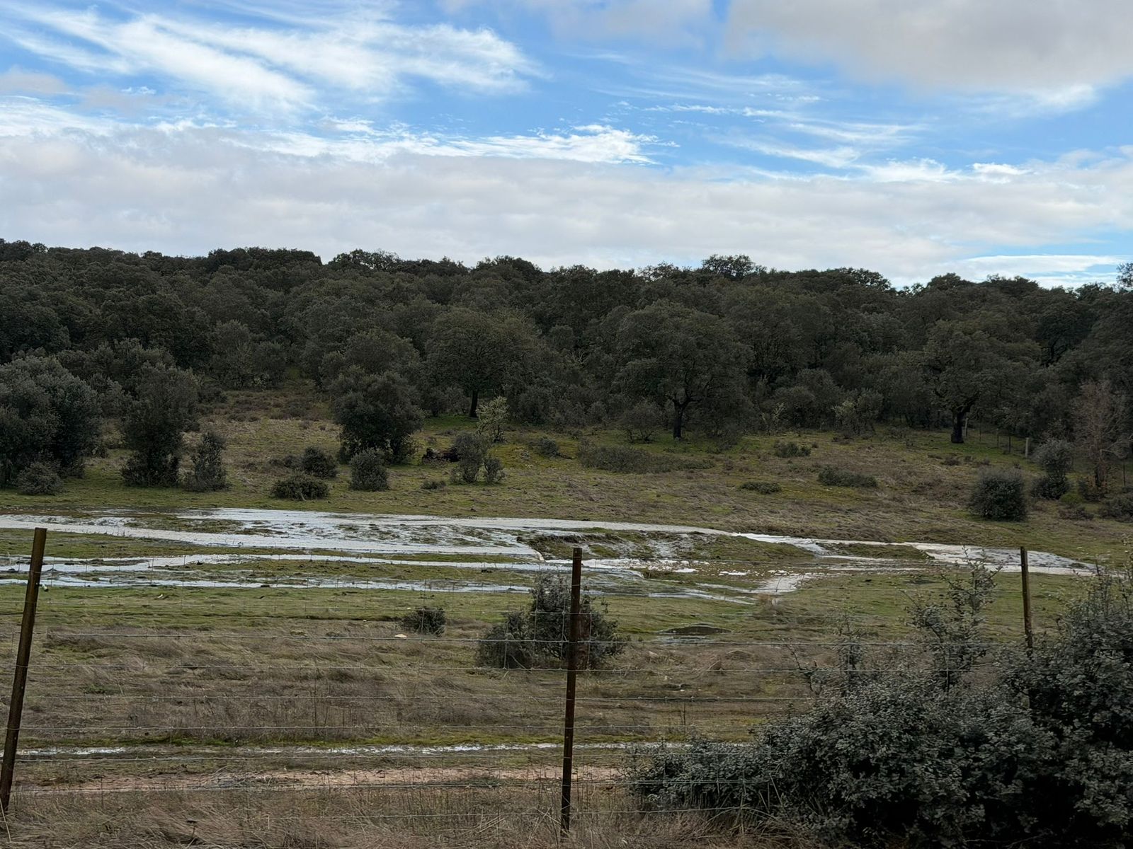 El campo anegado de agua en la zona del Campo Charro