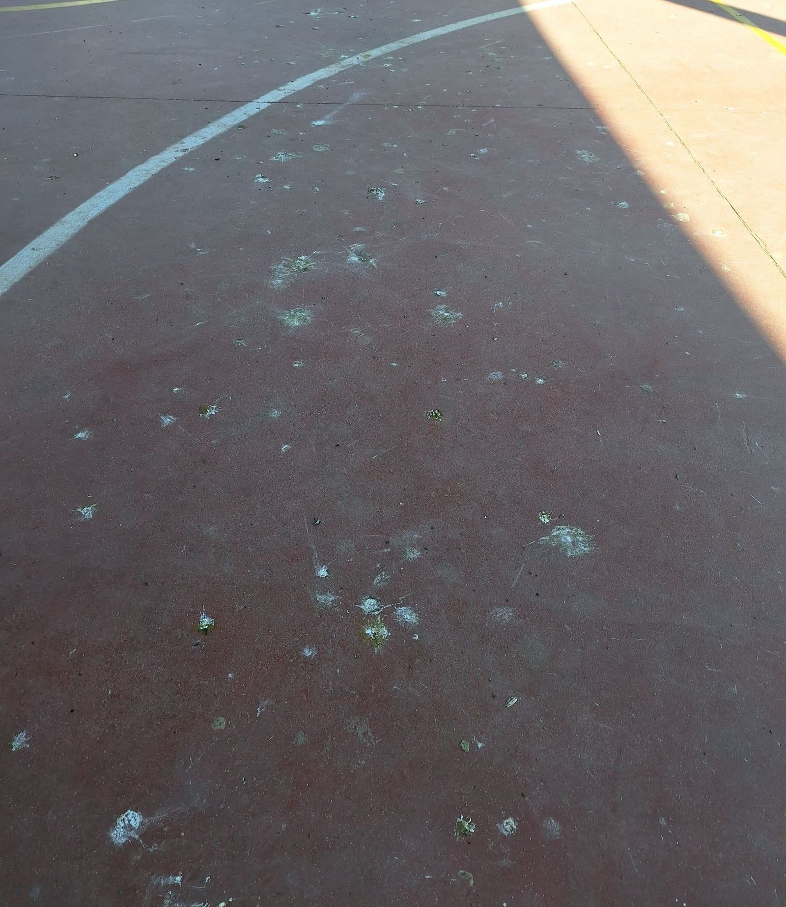 quejas-por-el-estado-de-la-pista-deportiva-del-barrio-de-vistahermosa-3