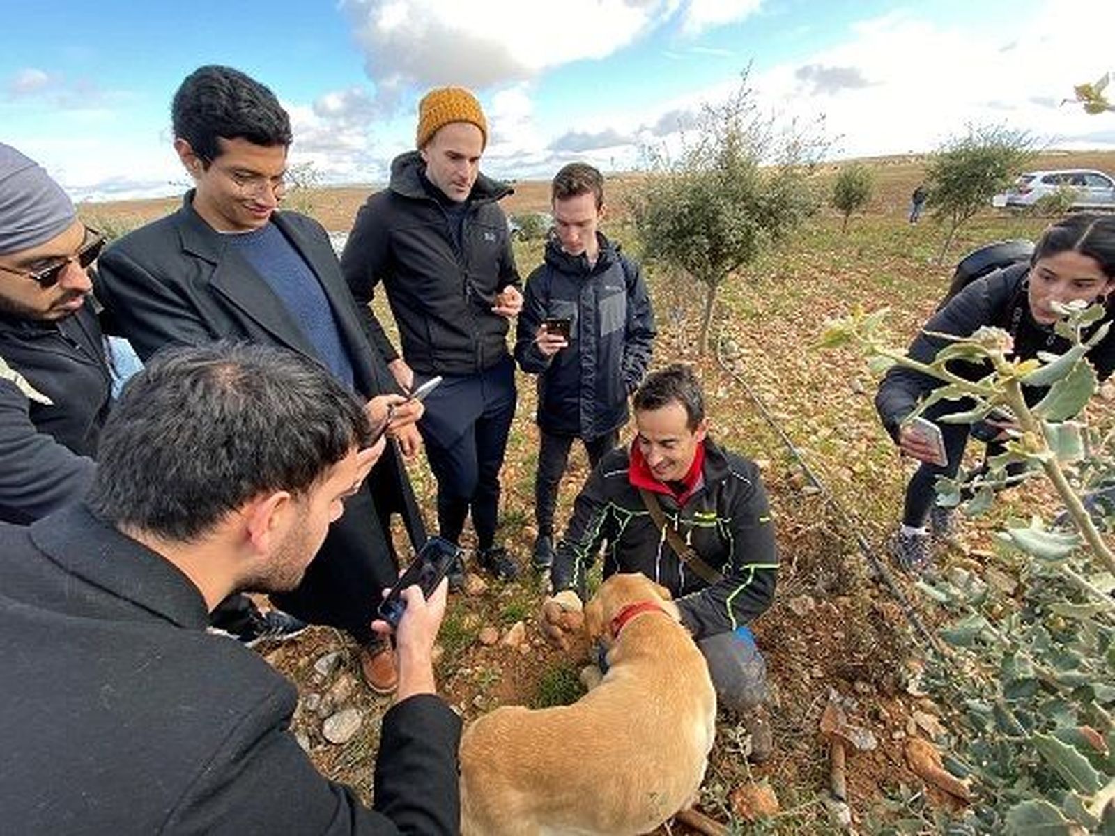 Trufiturismo en Castilla y León. Puesta en valor de la trufa negra