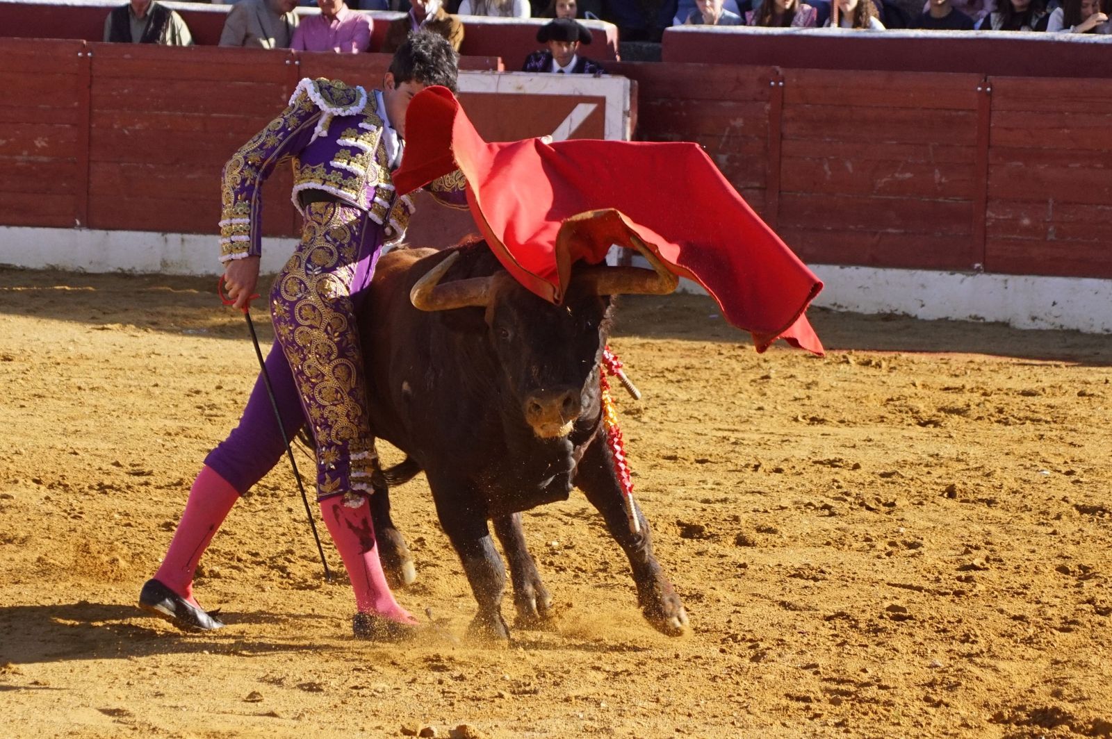 novillada-con-picadores-en-villoria-60