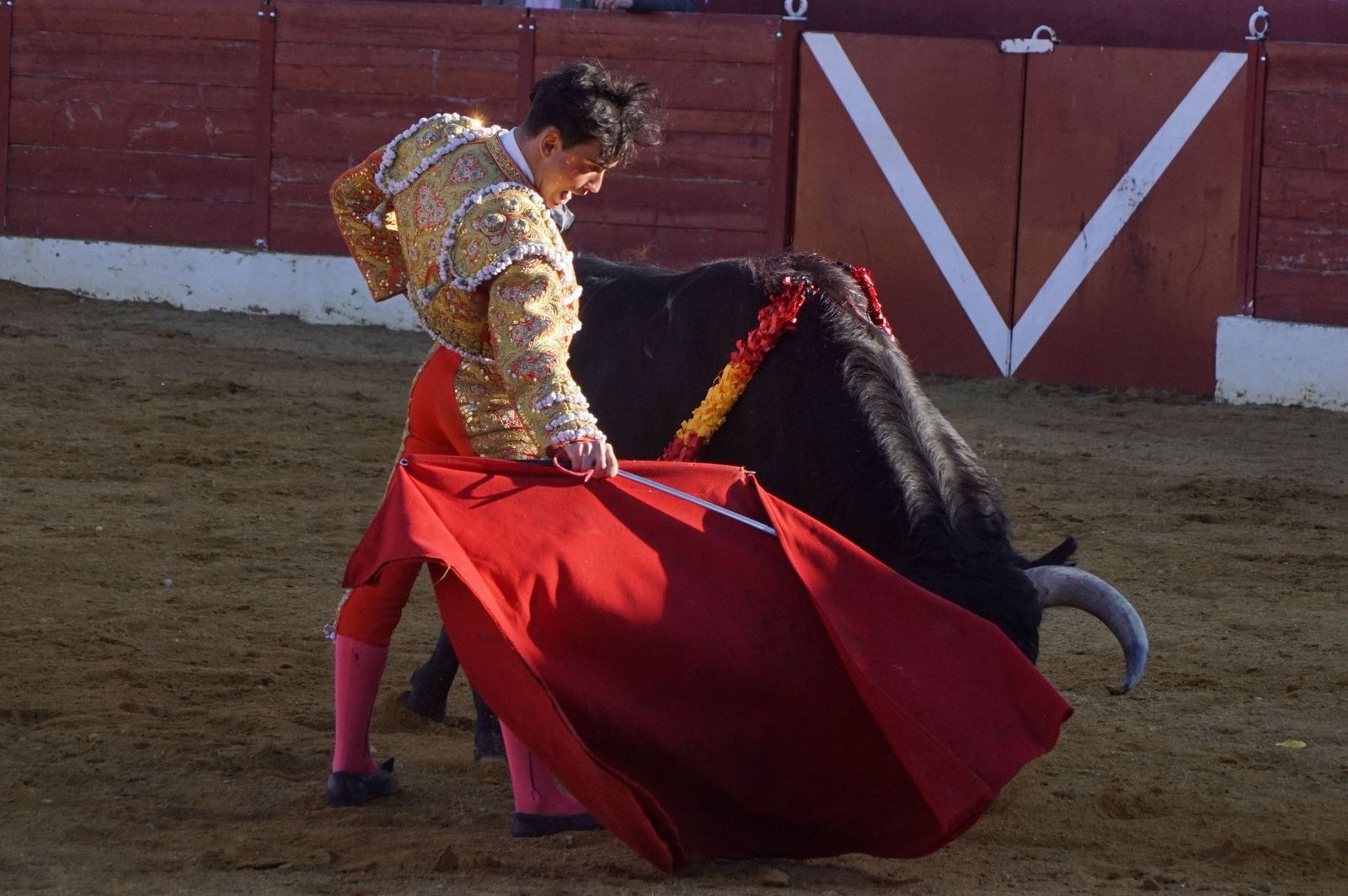 novillada-con-picadores-en-villoria-90