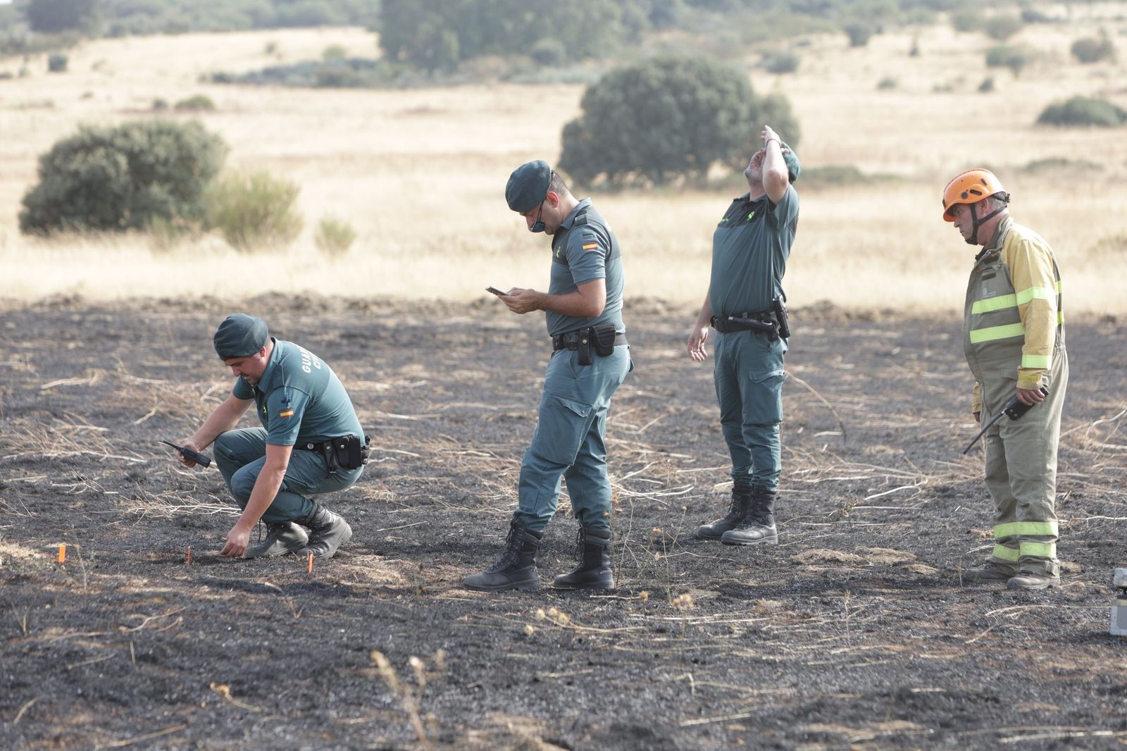 Incendio entre Mahide y Pobladura de Aliste