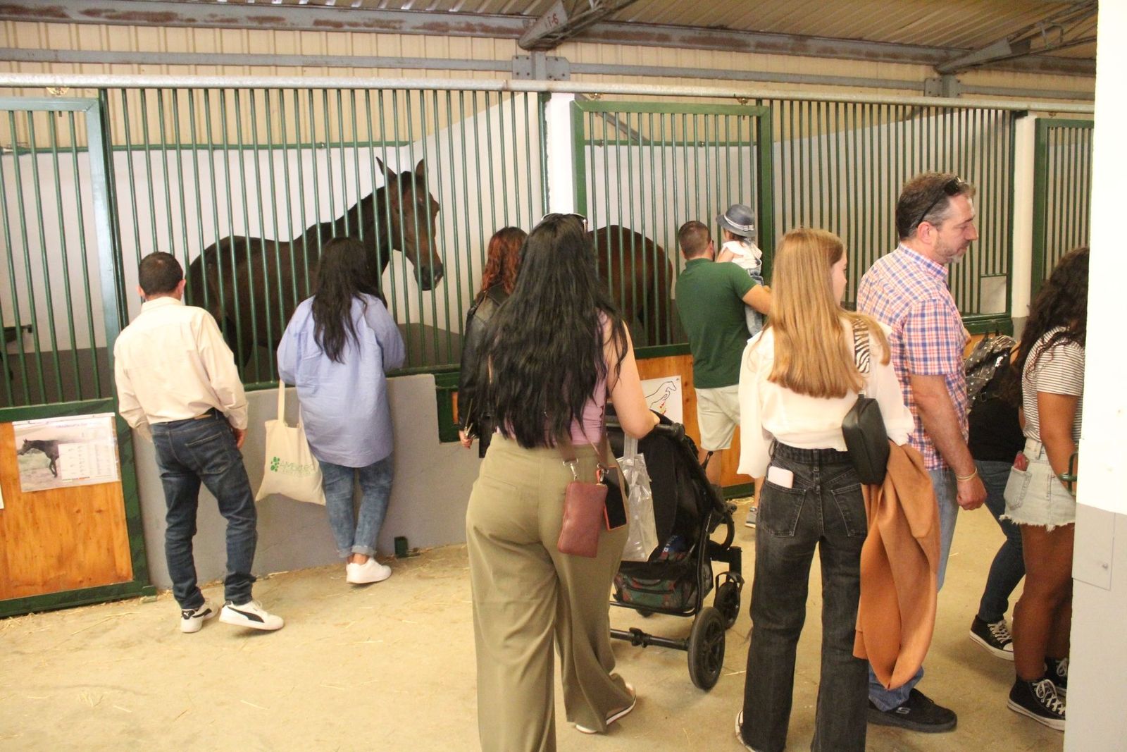 20230904141754-img-7555