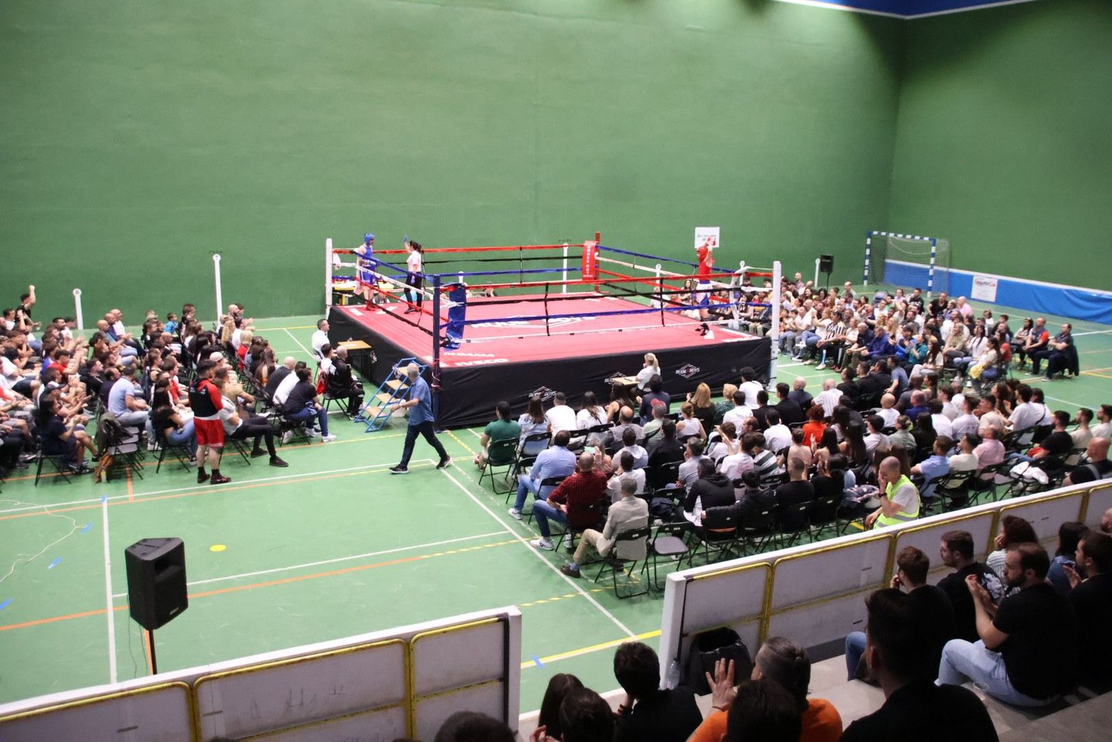 20240413200655-img-8694