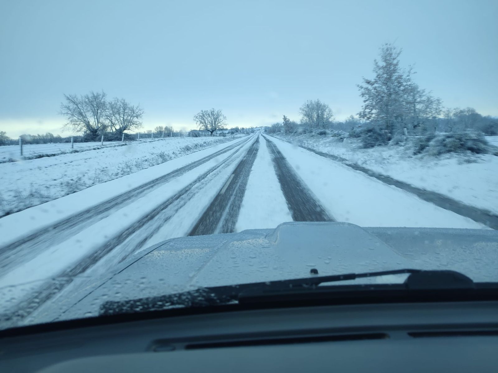 La nieve anega carreteras y tiñe de blanco Salamanca capital y provincia: imágenes de la nevada de este 28 de enero