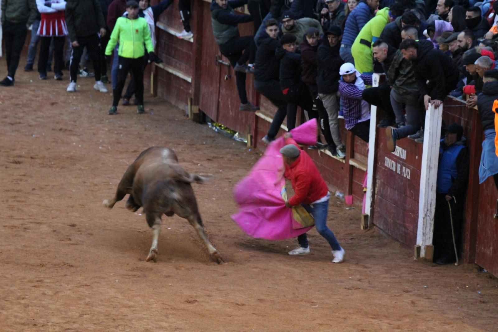 ambiente-y-capea-vespertina-sabado-de-carnaval-en-ciudad-rodrigo-2025-fotos-belen-hurtado-70