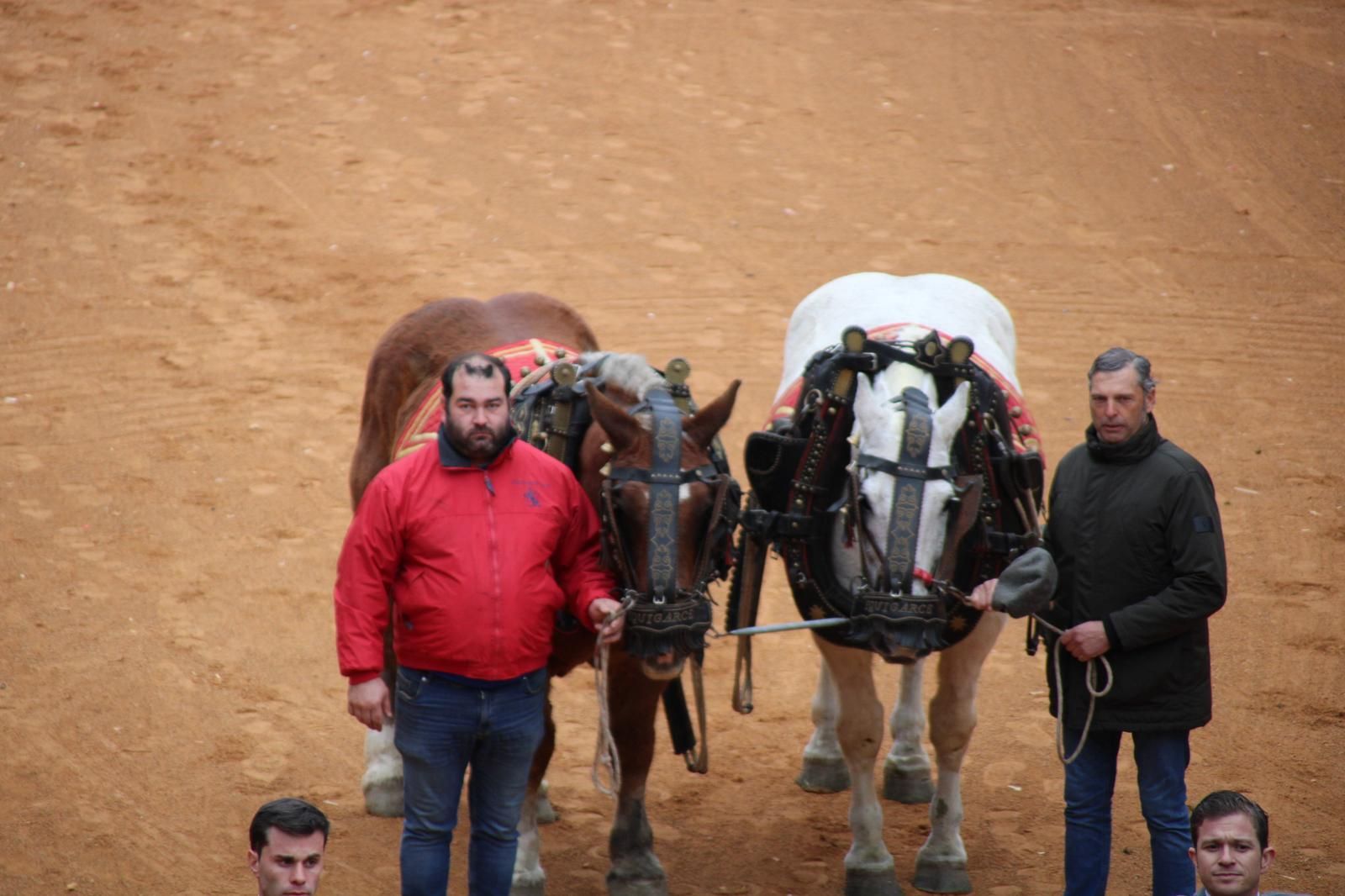 whatsapp-image-2025-03-02-at-16-55-51-1