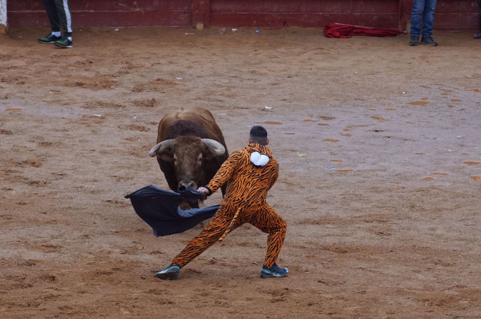 whatsapp-image-2025-03-03-at-14-50-26-2