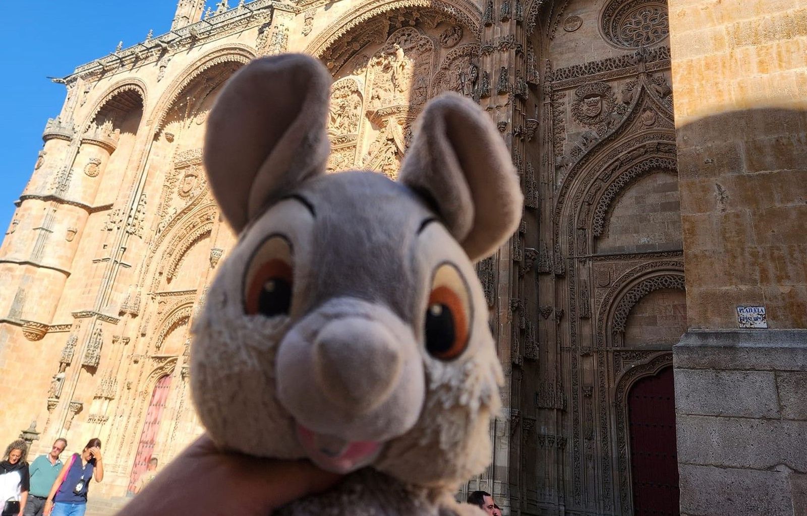 Peluche perdido en Salamanca