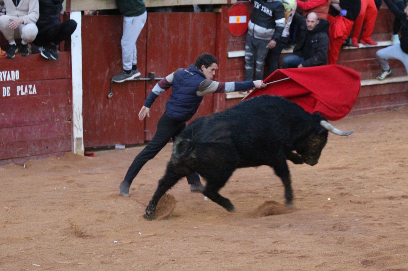 capea-de-ciudad-rodrigo-11