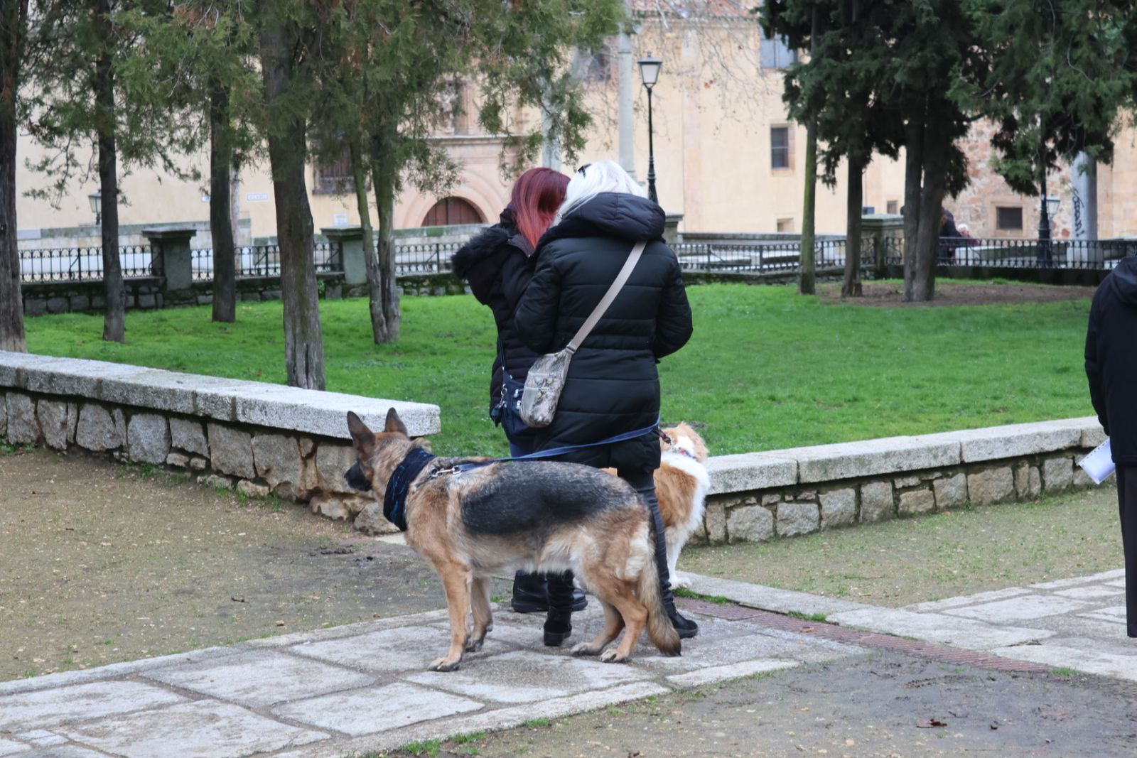 Bendición de los animales por San Antón en el Campo de San Francisco