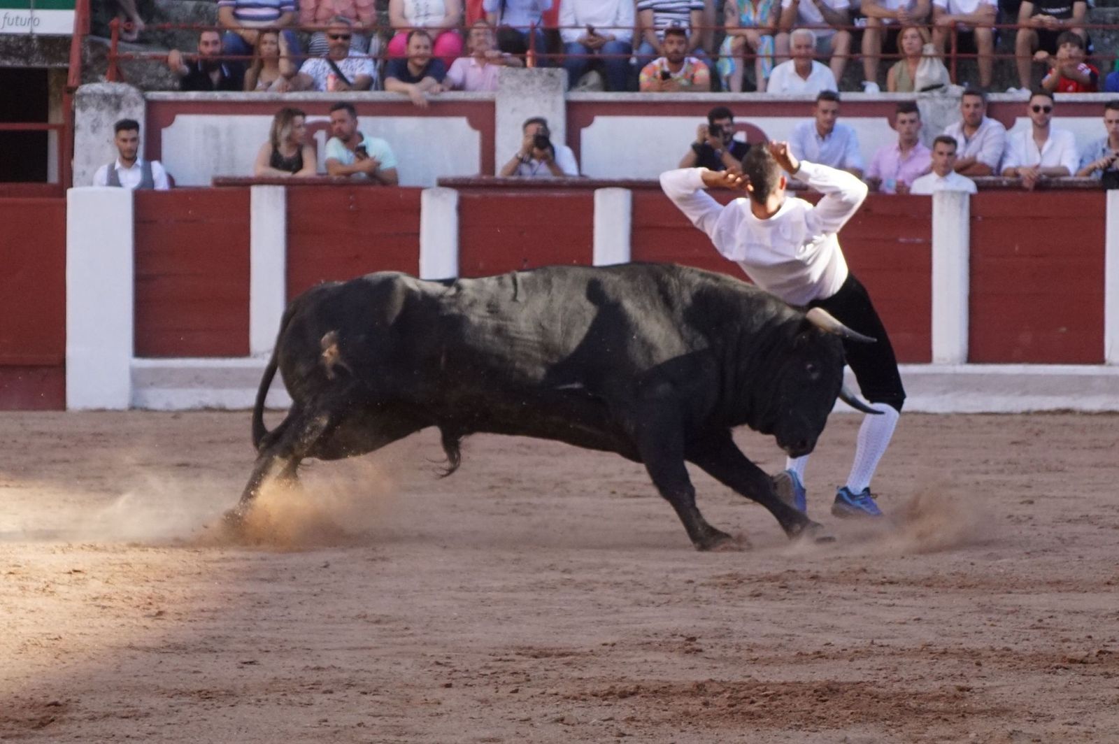 whatsapp-image-2023-07-02-at-22-40-47-3