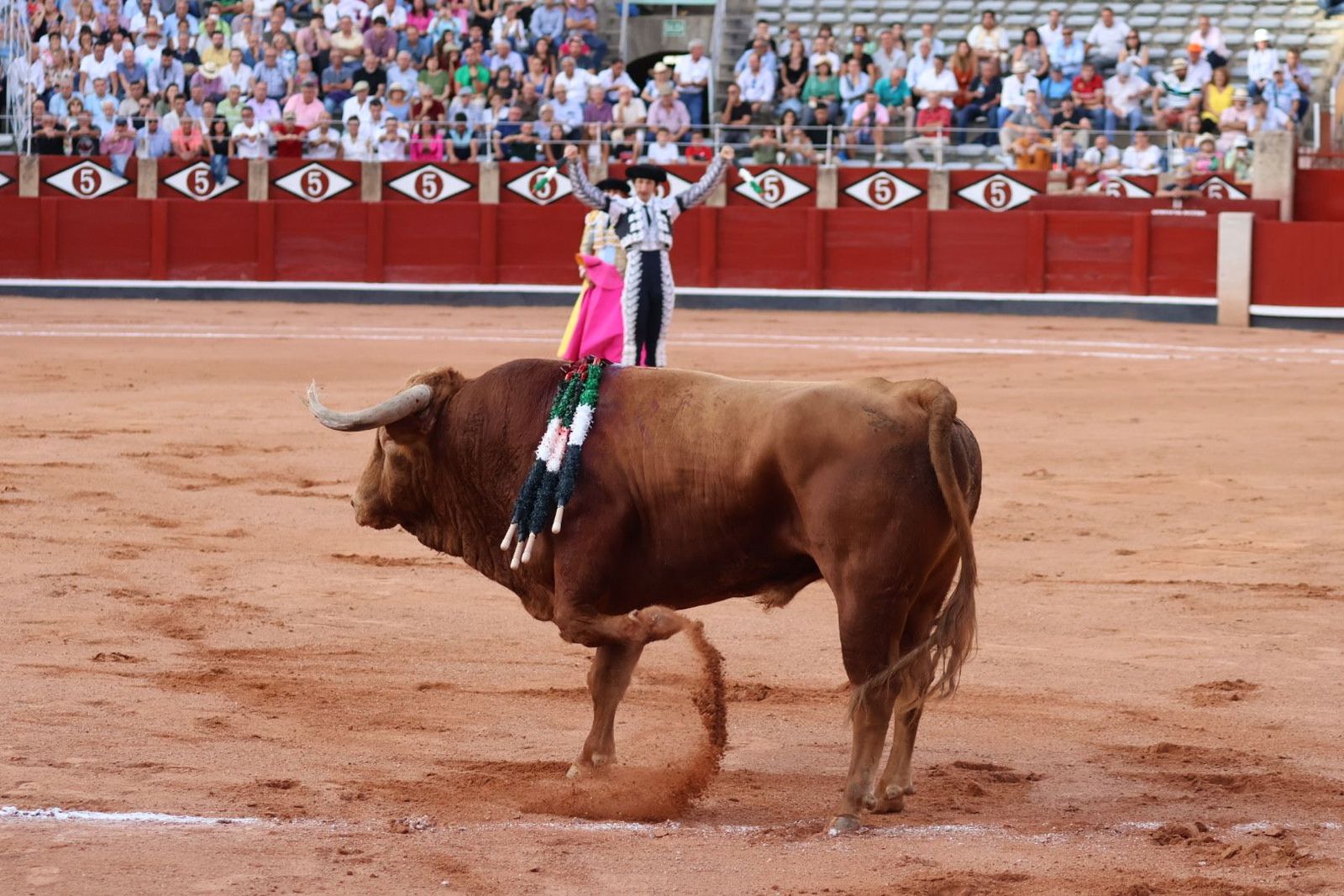 20230910182635-img-2089