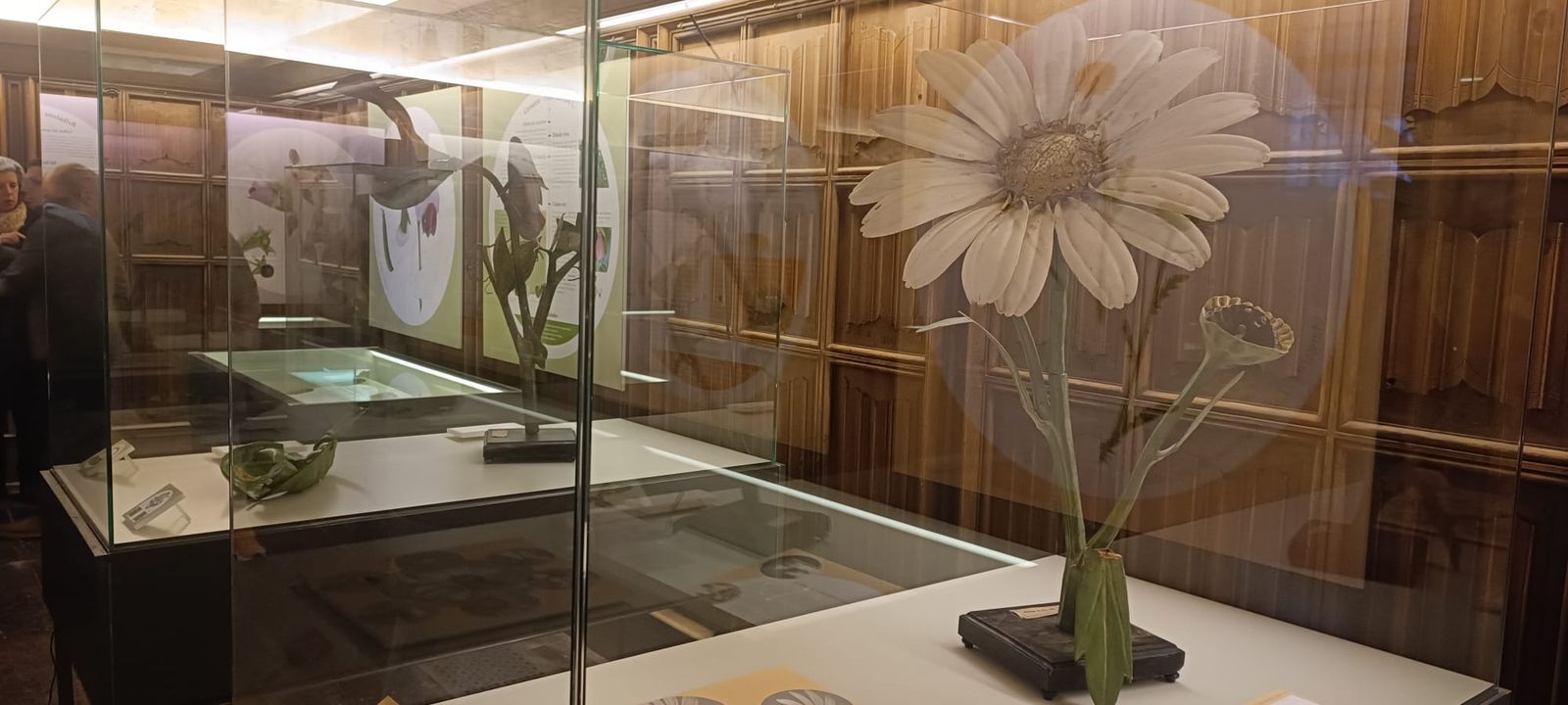 exposicion-botanica-9