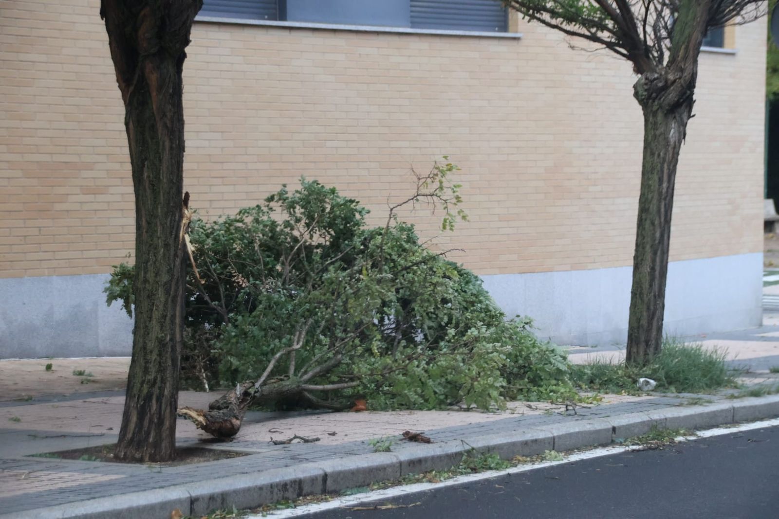GALERÍA | La borrasca 'Ciarán' causa grandes destrozos en Salamanca 