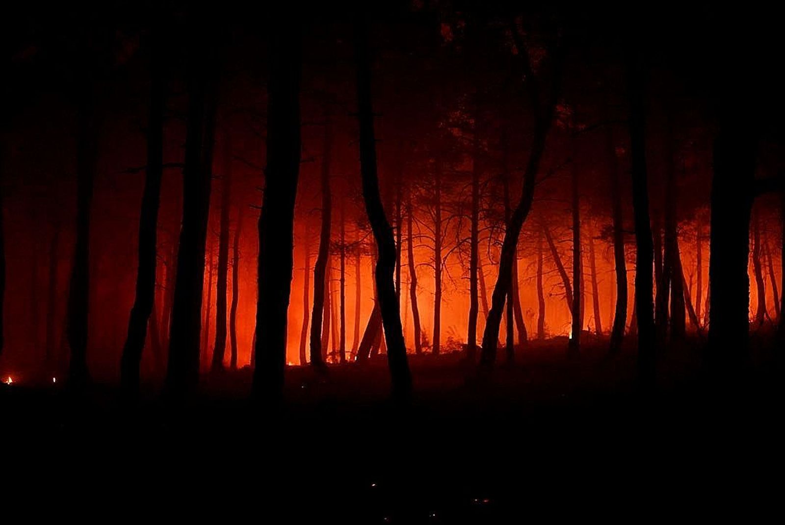 Incendio en la Sierra de la Culebra (2)