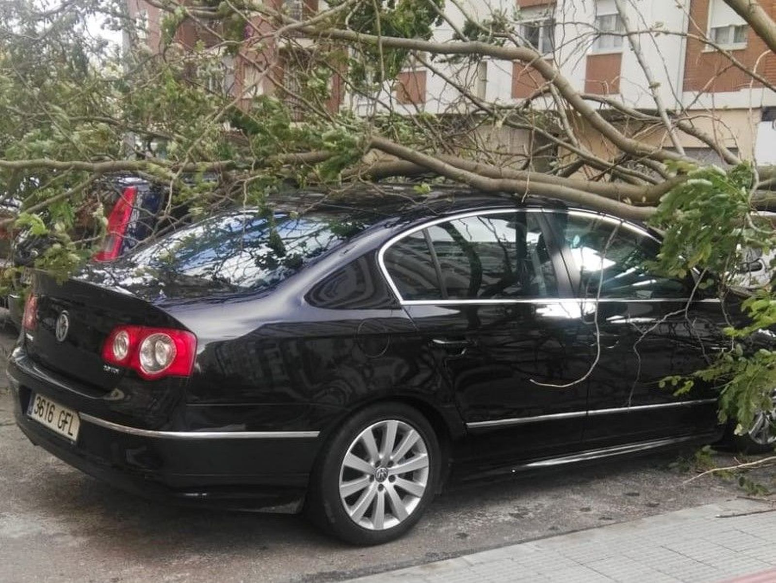 whatsapp-image-2024-10-09-at-12-17-34