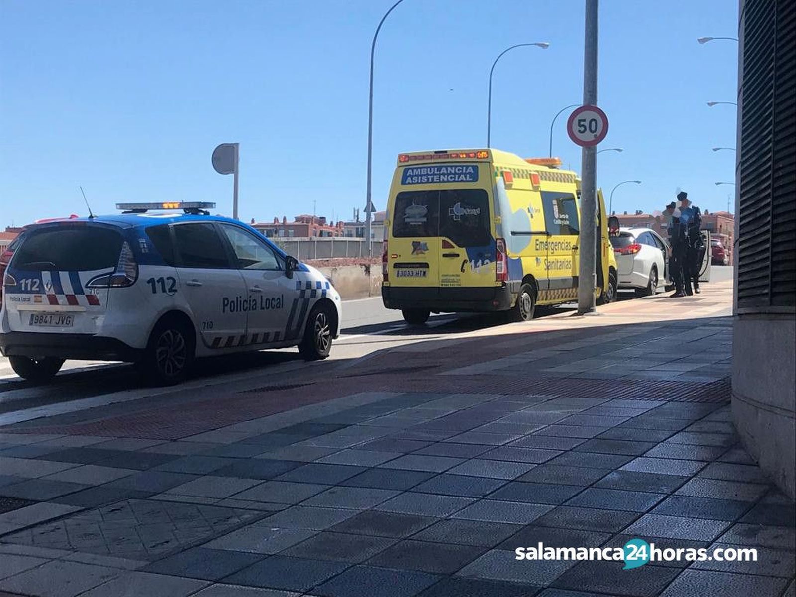 Atropello Cipreses 2