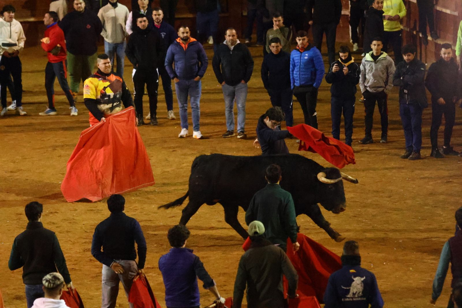 Capa y desencierro de tarde de lunes en el Carnaval del Toro 2026