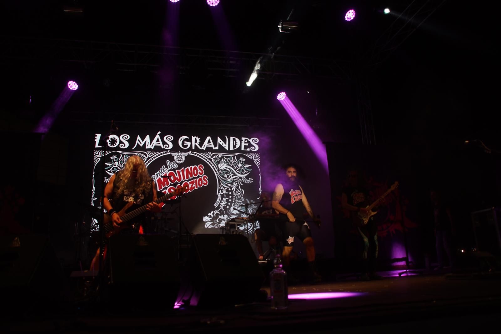 concierto-de-los-mojinos-escozios-en-santa-marta-de-tormes-37