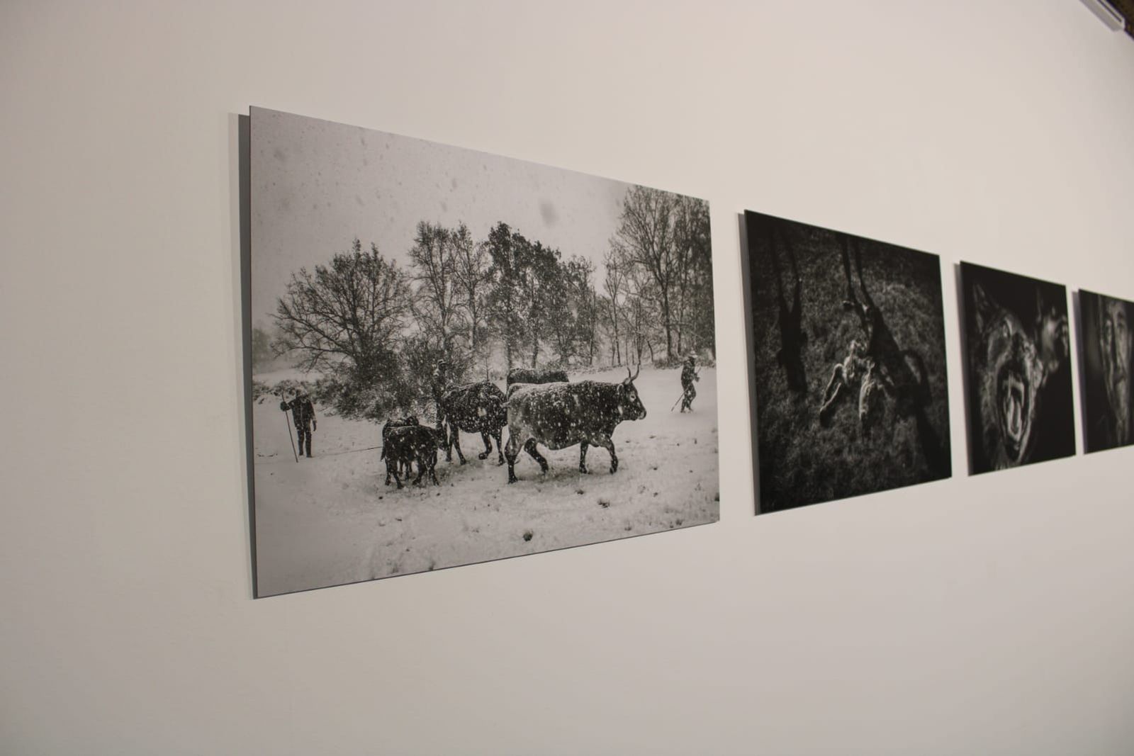 exposicion-transversalidades-fotografia-sin-fronteras-18