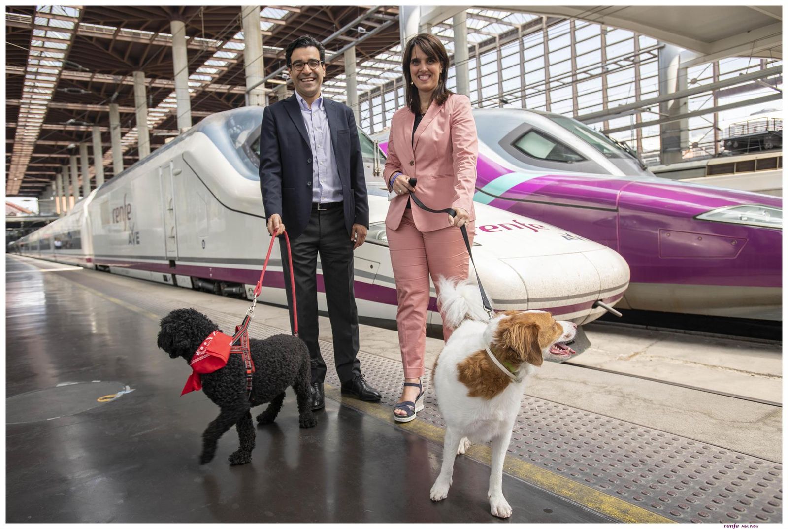 Perros viajando en Renfe   RENFE