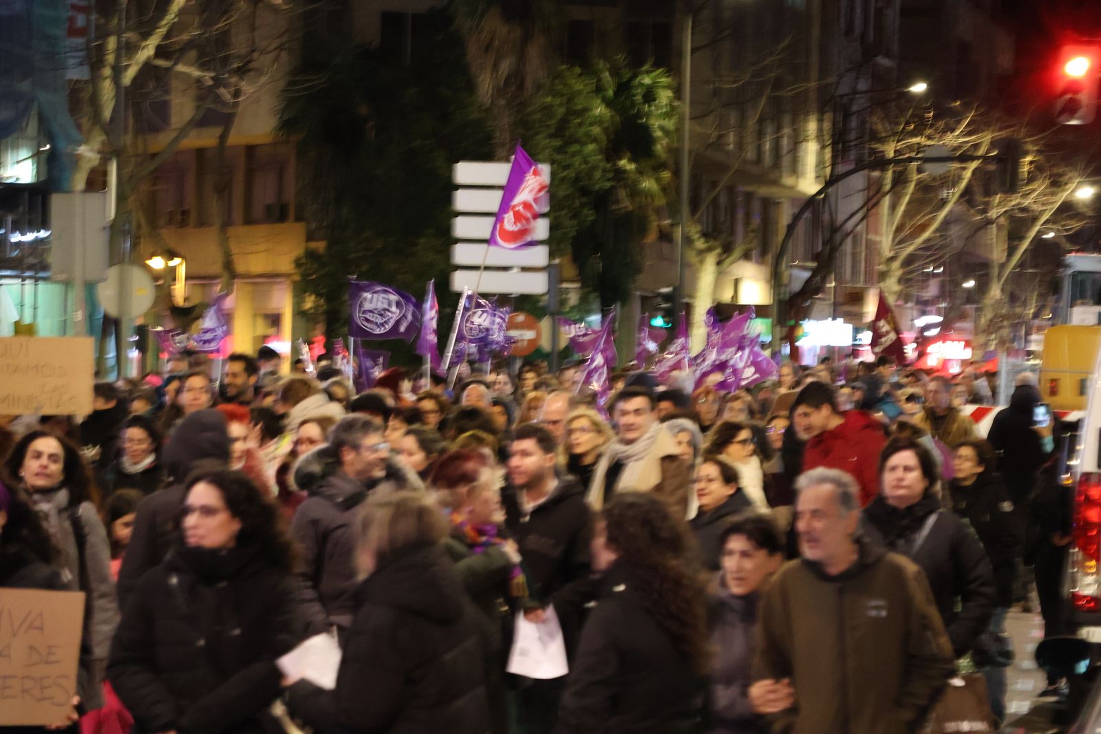 marcha-del-8m-en-zamora-46