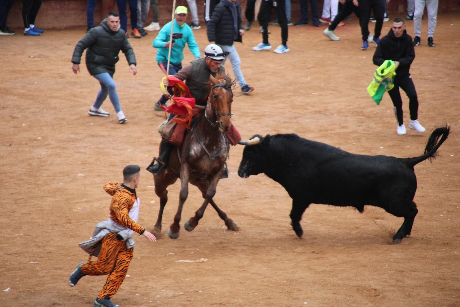 Encierro a Caballo en el Carnaval del Toro 2026 de Ciudad Rodrigo