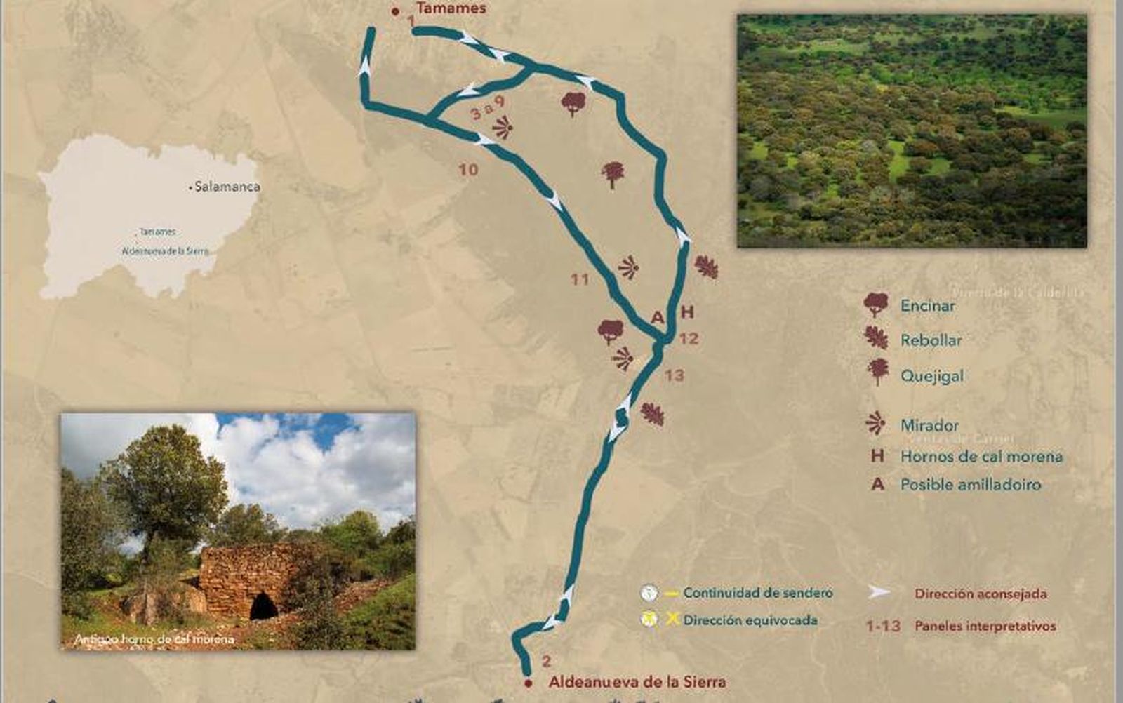 La Diputación pone en marcha el sendero micológico Tamames-Aldeanueva de la Sierra de casi 14 kilómetros de recorrido