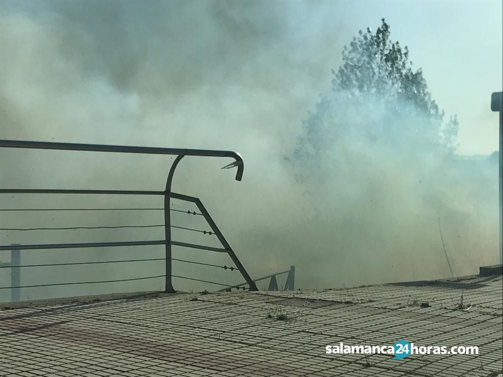 Incendio carretera de Vecinos (6)