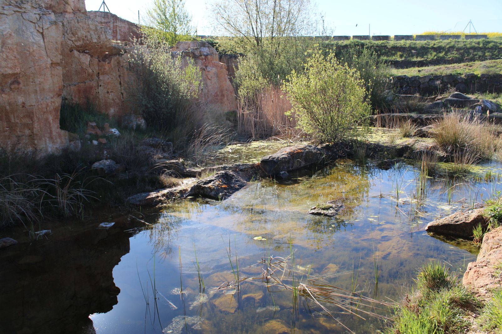 habitat-minero-villamayor-cantera-las-cocinitas-7