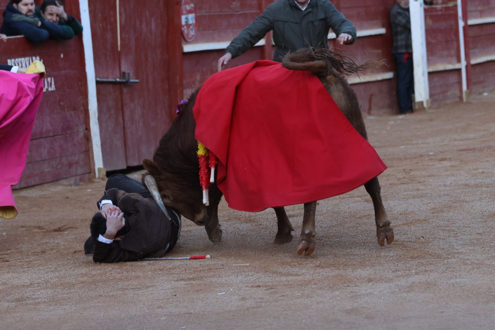 Festival taurino del Sábado en el Carnaval del Toro 2026 de Ciudad Rodrigo