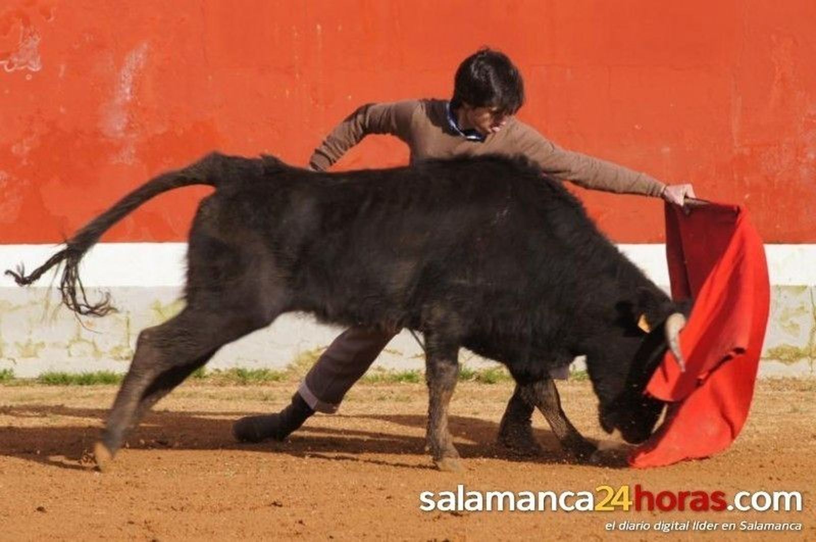 Final del Bolsín Taurino de Ciudad Rodrigo