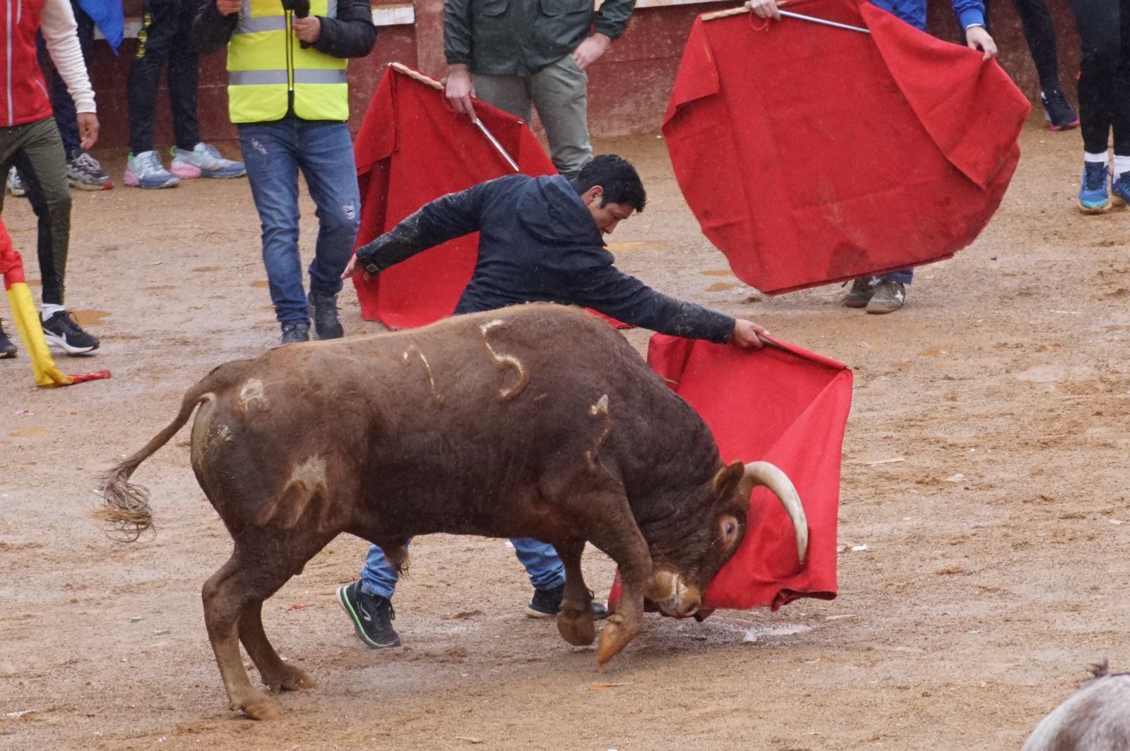 whatsapp-image-2024-02-11-at-14-02-44-2