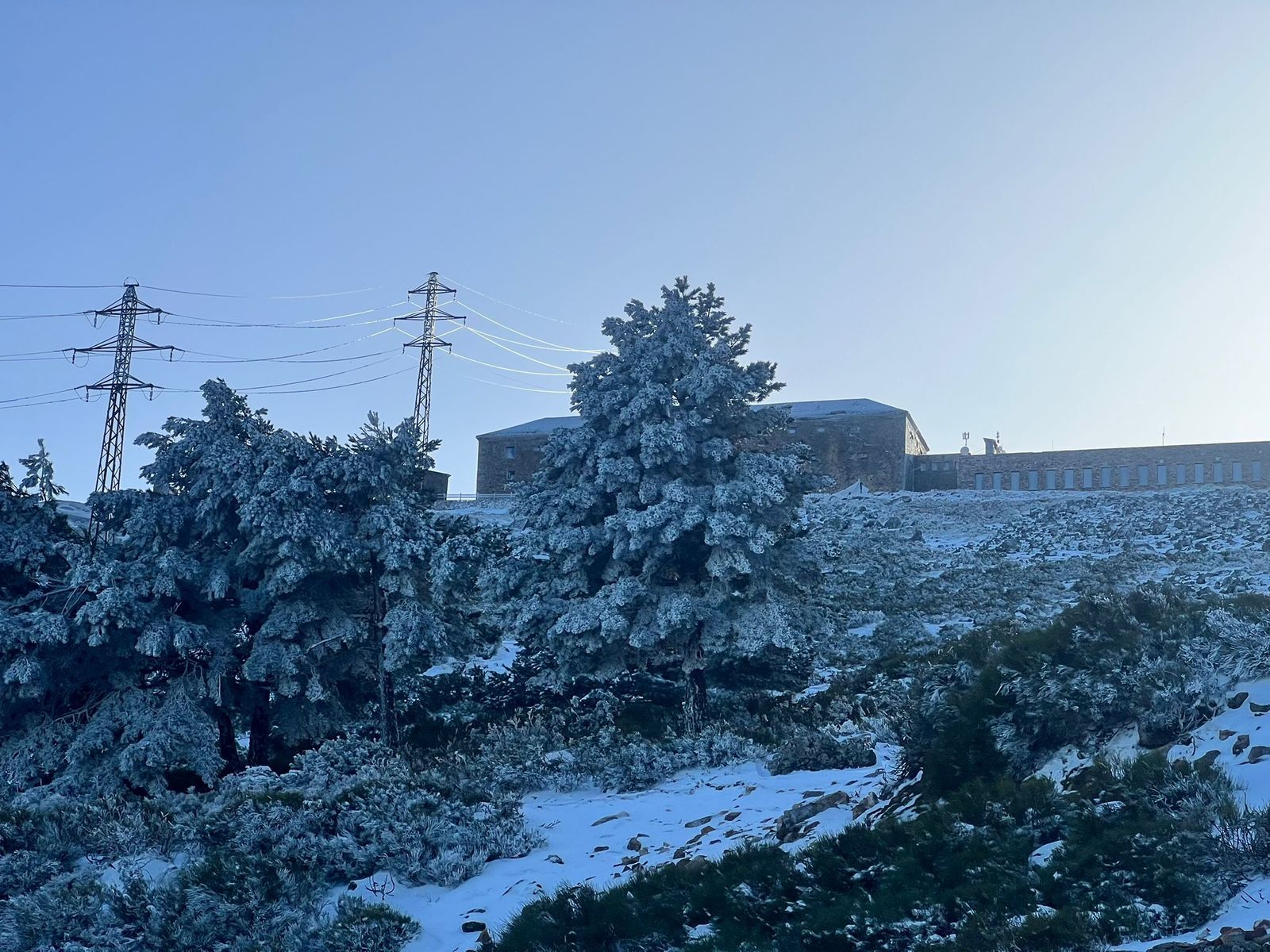 whatsapp-image-2025-02-03-at-19-14-13-2